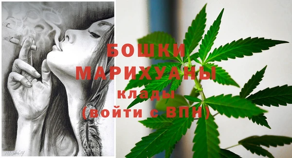 прущая мука Вяземский