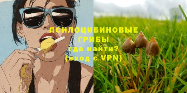 2c-b Вязьма